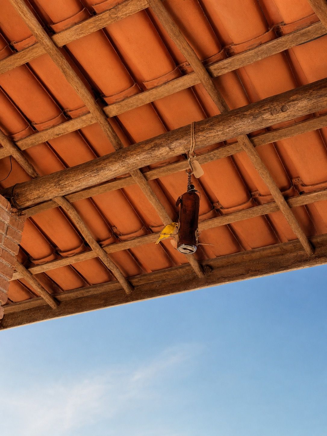 Detalhe do telhado de telha terracota com ave nativa