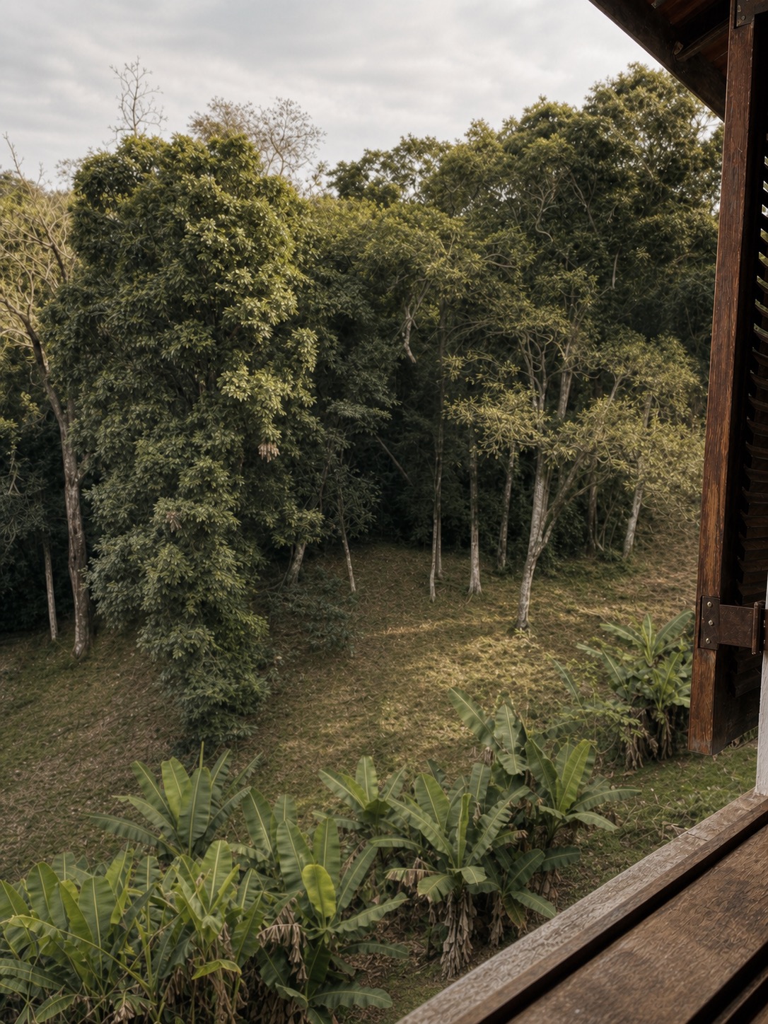Vista da janela superior da Suíte 4 para o jardim e a Mata Atlântica